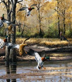 Wild Ducks Paint By Numbers