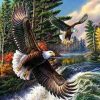 Wild Eagles Paint By Numbers