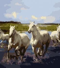 Wild White Horses Paint By Numbers