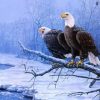 Winter Eagle Paint By Numbers