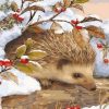 Winter Hedgehog Paint By Numbers