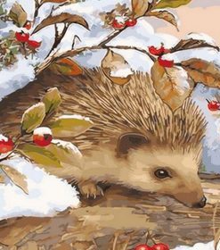 Winter Hedgehog Paint By Numbers