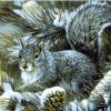 Winter Squirrel Paint By Numbers