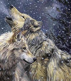 Winter Wolves Paint By Numbers