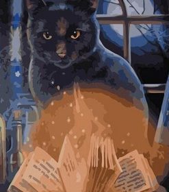 Witch Cat Paint By Numbers