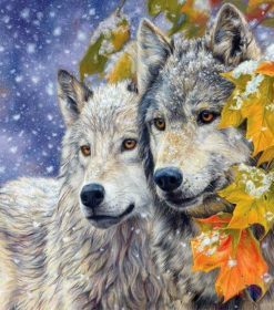 Wolf Couple Paint By Number