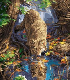 Wolf Drink from a Pond Paint By Numbers