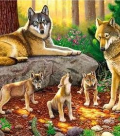 Wolf Family Paint By Numbers