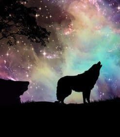 Wolf With Northern Lights Paint By Numbers