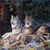 Wolves in Snow Forest Paint By Numbers
