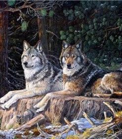 Wolves in Snow Forest Paint By Numbers