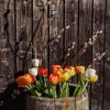 Wooden Barrel Flowers Paint By Numbers