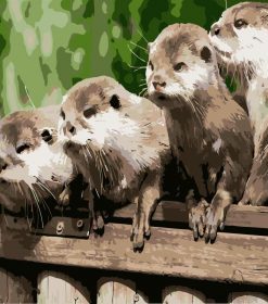 Young Otters Paint By Numbers