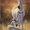 Zebra In Savanna Paint By Numbers