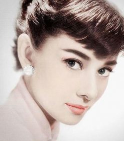 Audrey Hepburn Stunning Eyes Paint By Numbers