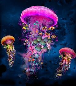Big Jellyfishes Paint By Numbers