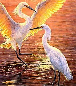 Cranes At Sunset Paint By Numbers