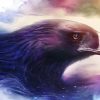 Dream Eagle Paint By Numbers