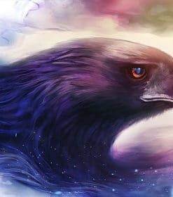 Dream Eagle Paint By Numbers