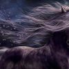 Dreamy Horse Paint By Numbers