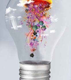 Electric Jellyfish Paint By Numbers