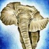 Elephant Of African Continent Paint By Numbers