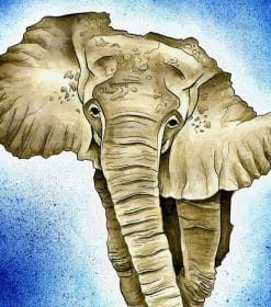 Elephant Of African Continent Paint By Numbers