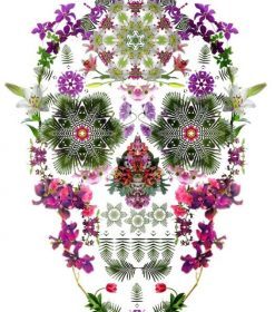 Garden Flowers Skull Paint By Numbers