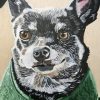 Gray Chihuahua Paint By Numbers