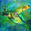 Green Turtle Paint By Numbers