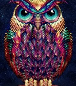 Hipster Owl Paint By Numbers