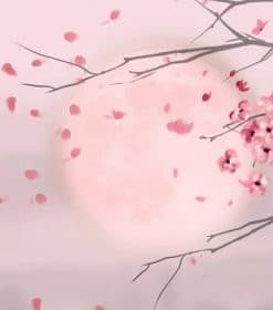 Moon And Cherry Blossom Paint By Numbers