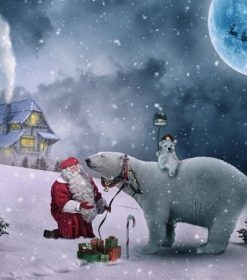 Polar Bears And Santa Claus Paint By Numbers