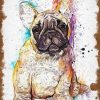 Splatter French Bulldog Paint By Numbers