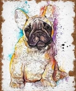 Splatter French Bulldog Paint By Numbers