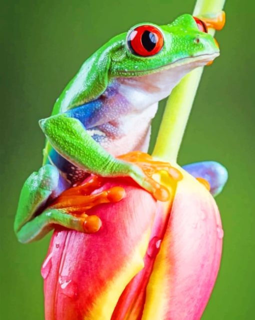 Frog On Tulip Flower paint by numbers