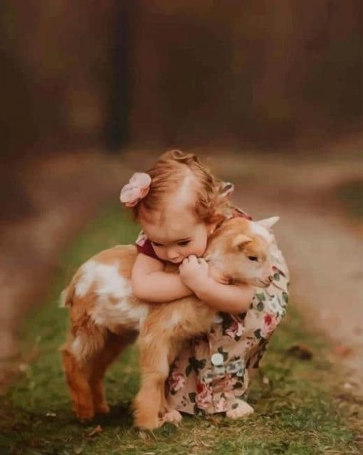 Girl Hugging A Little Goat paint by numbers