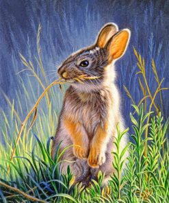 Bunny Rabbit paint by numbers