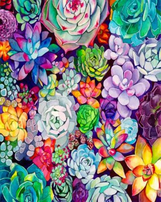 Succulents Plants paint by numbers