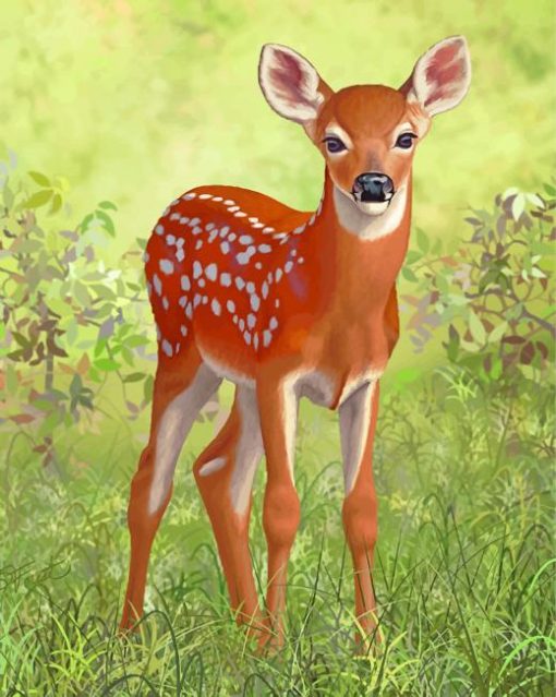 White Tailed Deer paint by numbers