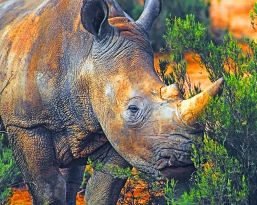 Wild-Brown-Rhinoceros-paint-by-number