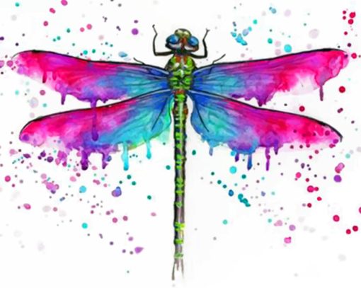 colorful-dragonfly-paint-by-numbers