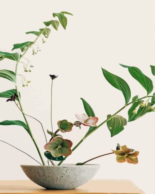 cool-japanese-ikebana-paint-by-numbers