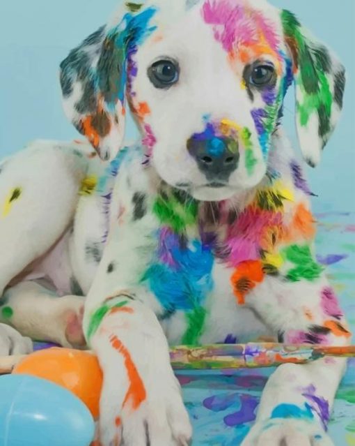 Colorful Dalmatian