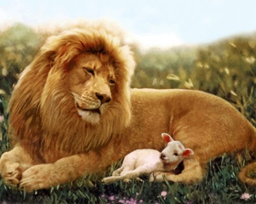 Lion And Lamb