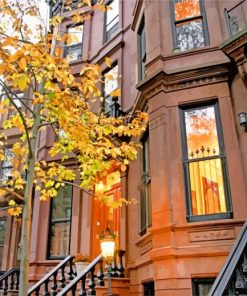 autumne Brownstone paint by numbers