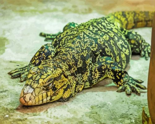 Black And Green Tegu Lizard Paint By Numbers