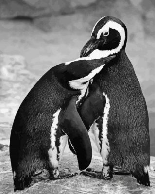 Black And White Penguins Animals Paint By Numbers