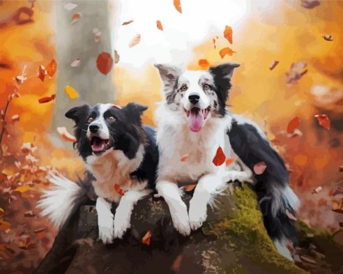 Dogs In Autumn Saison Paint By Numbers