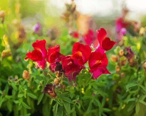 Fuchsia Snapdragons Paint By Numbers